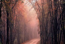 熊猫体育官方-西甲焦点战：凯尔特人vs拜仁，争议绝杀引爆足球江湖