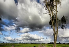 熊猫体育官方-西甲焦点战：凯尔特人vs拜仁，争议绝杀引爆足球江湖