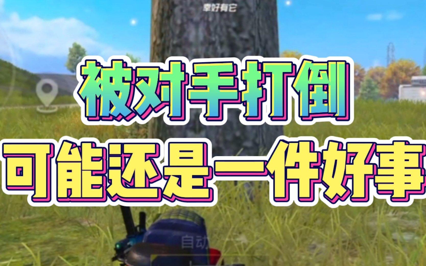 熊猫直播tv-柏林军团企图背水三优，打倒对手牟取可动积分